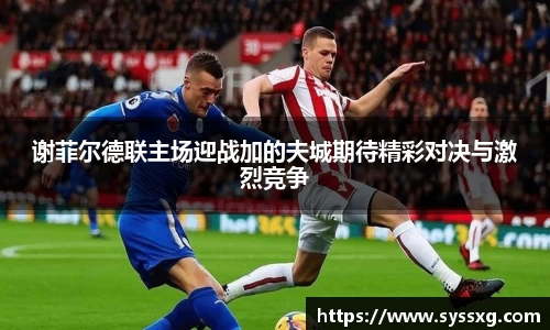 谢菲尔德联主场迎战加的夫城期待精彩对决与激烈竞争
