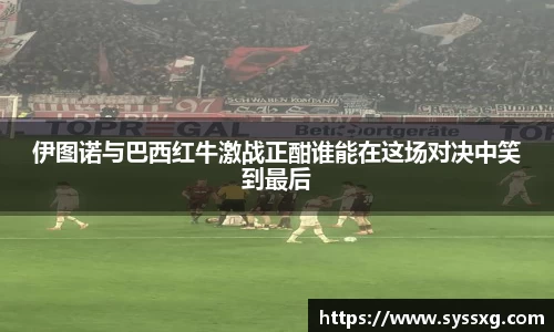 中欧体育