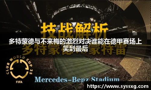 中欧体育网址