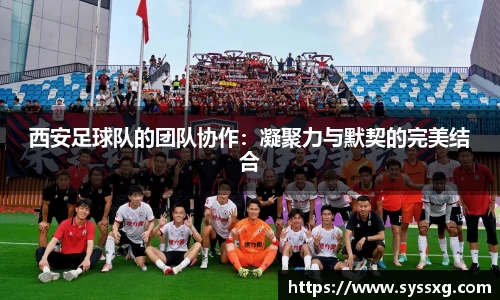 中欧体育网址
